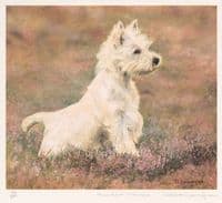 'Paws For Thought' Ex-Display Mounted West Highland Terrier Print by Debbie Gillingham