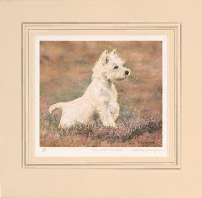 'Paws For Thought' Ex-Display Mounted West Highland Terrier Print by Debbie Gillingham