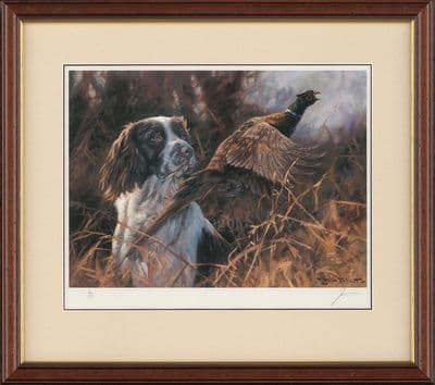 'Pheasant Flushed' Ex-Display Framed Springer Spaniel Print by John Trickett
