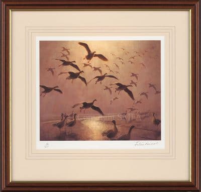 'Pinkfeet Out of The Mist' Ex-Display Wildfowl Print by Julian Novorol