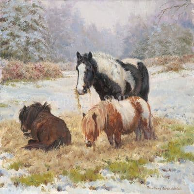 'Ponies' Original Oil Painting by Rosemary Sarah Welch