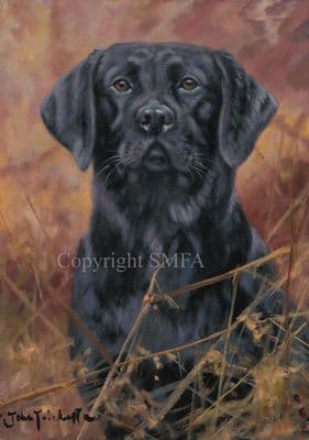 'Portrait of a Black Lab' original Painting by John Trickett