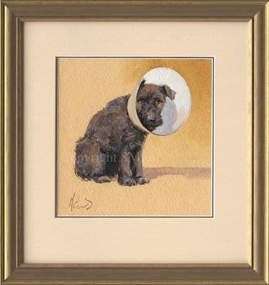 'Potted' Original Patterdale Terrier Painting by Malcolm Coward