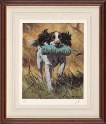 'Practise' Ex-Display Springer Spaniel Print by John Trickett