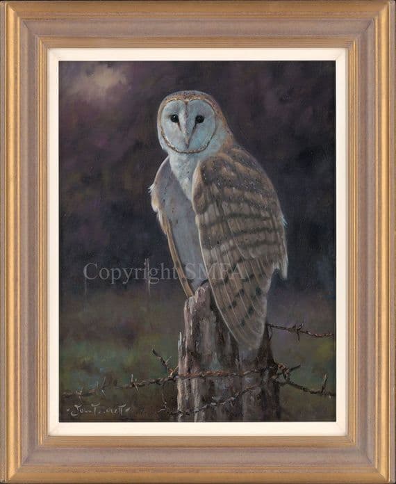 'Quiet Contemplation' Original Barn Owl Painting by John Trickett