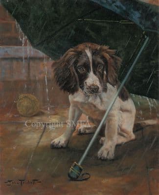 'Rain Stopped Play' Original Springer Puppy painting by John Trickett