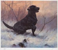 'Ready' Copy No 1 Black lab Print by John Trickett