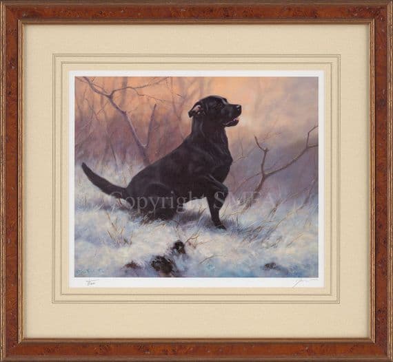 'Ready' Copy No 1 Black lab Print by John Trickett