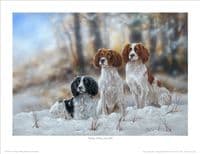 'Ready Willing and Able' Open Edition Springer Spaniel Print by Paul Doyle