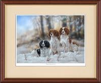 'Ready Willing and Able' Open Edition Springer Spaniel Print by Paul Doyle