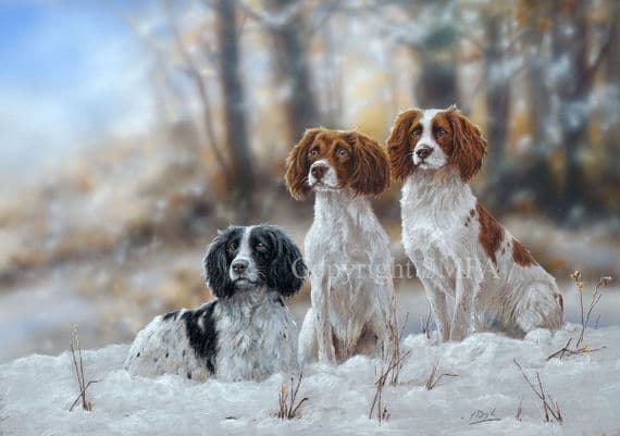 'Ready Willing and Able' Open Edition Springer Spaniel Print by Paul Doyle
