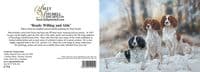'Ready Willing and Able' Springer Spaniel Blank Greetings Card C731