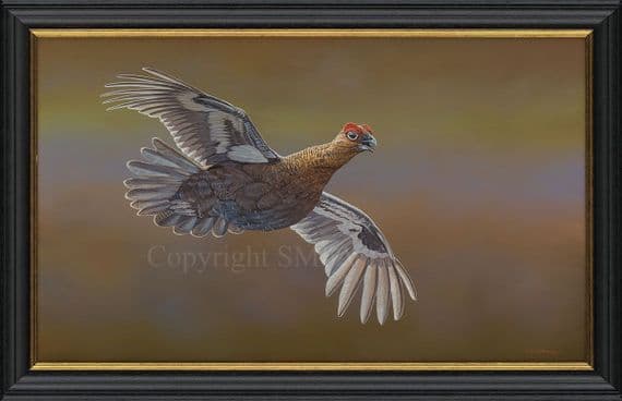 'Red Grouse Over The Moors' Original Painting by Ben Waddams