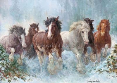 'Rolling Thunder' Blank Heavy Horse Card by Rosemary Welch C744