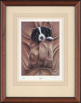 'Safe' Ex-Display Framed Springer Puppy Print by Paul Doyle