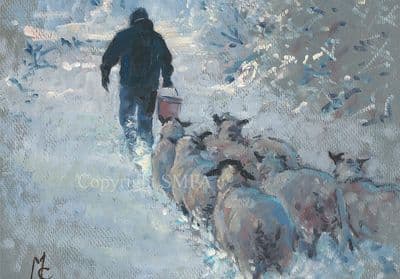 'Sheep Feeding Time' in the Snow Christmas Cards 'Feeding the Sheep' by Malcolm Coward C541X