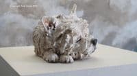 'Sleeping Westie' Original Ceramic Sculpture by Paul Doyle