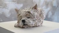 'Sleeping Westie' Original Ceramic Sculpture by Paul Doyle