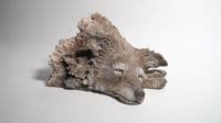 'Sleeping Wolf' Original Ceramic Sculpture by Paul Doyle