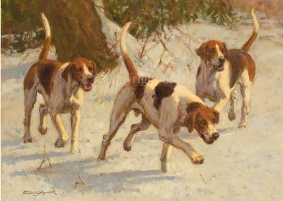 'Snow Scent' Blank Foxhound card by Frederick J Haycock C709x