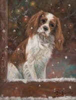 'Snowed In' original Cavalier King Charles Painting by John Trickett