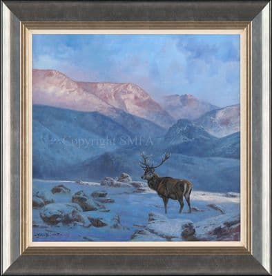 'Solitude' Original Red Deer Stag Painting by John Trickett