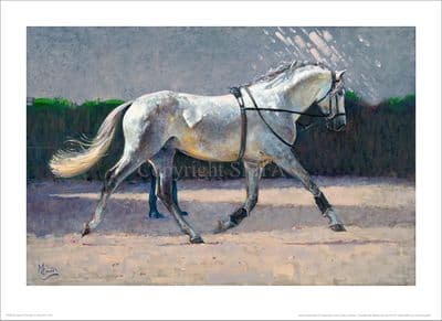 'Spanish Schooling' Equestrian Print by Malcolm Coward