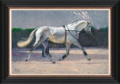 'Spanish Schooling' Equestrian Print by Malcolm Coward