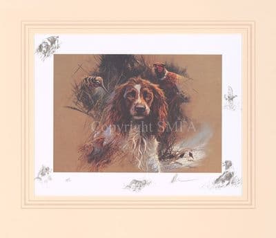 'Springer Composite II' Ex-Display Springer Spaniel Print by Mick Cawston