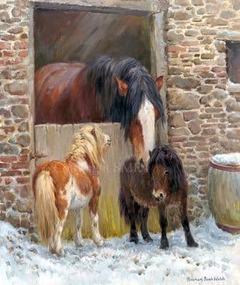 'Stable Mates' Limited Edition Heavy Horse Print by Rosemary Sarah Welch