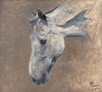 'Study of a Gre' Original Horse painting by Malcolm Coward