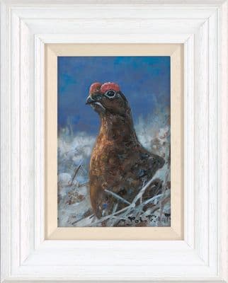 'Study of a Grouse' Original painting by John Trickett