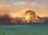 'Sunset' Original Landscape Painting by Malcolm Coward