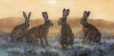 'Tense Moments' Brown hare Print by John Trickett