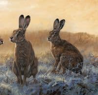 'Tense Moments' Brown hare Print by John Trickett