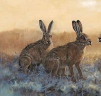 'Tense Moments' Brown hare Print by John Trickett