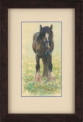 'Tethered Pony' Original Watercolour by Malcolm Coward