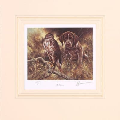 'The Beginner' Ex-Display GSP Puppy Print by Mick Cawston