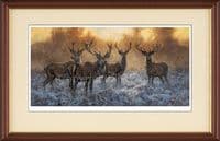 'The Boys' Limited edition Stag Print by John Trickett