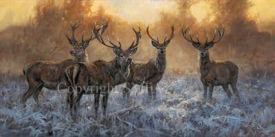 'The Boys' Limited edition Stag Print by John Trickett
