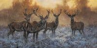 'The Boys' Original Stag Painting by John Trickett