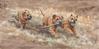 'The Branch Managers' Border Terrier Print by Paul Doyle