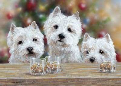 'The Drinks are on Us' Westie Blank Greetings card by Paul Doyle C729