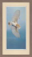 'The Ethereal Hunter' Barn Owl Limited Edition Print by Ben Waddams