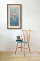 'The Ethereal Hunter' Barn Owl Limited Edition Print by Ben Waddams