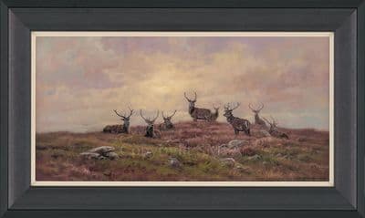 'The Gathering' Stag Print by John Trickett