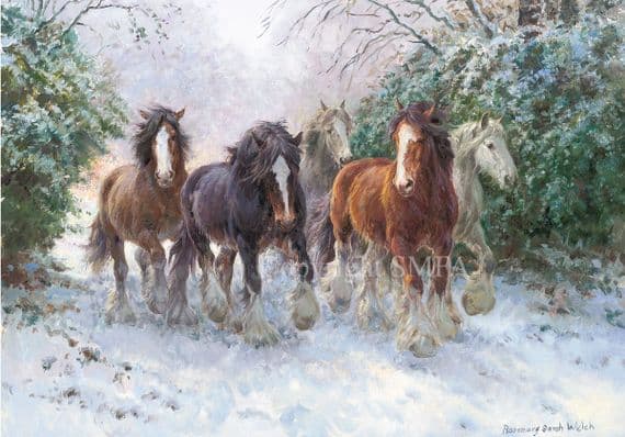 'The Heavy Mob' Blank Clydesdale Greetings Card by Rosemary Sarah Welch