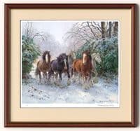 'The Heavy Mob' Limited Edition Clydesdale Horse print by Rosemary Welch