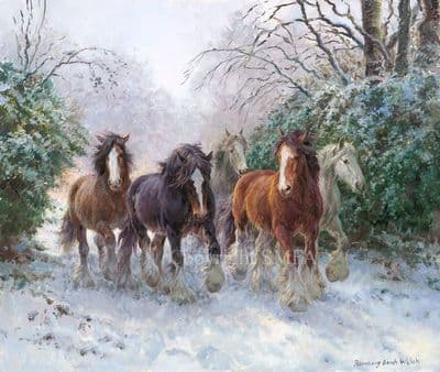 'The Heavy Mob' Limited Edition Clydesdale Horse print by Rosemary Welch