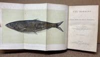 'The Herring Its Natural History and National Importance' book by J. M. Mitchell
